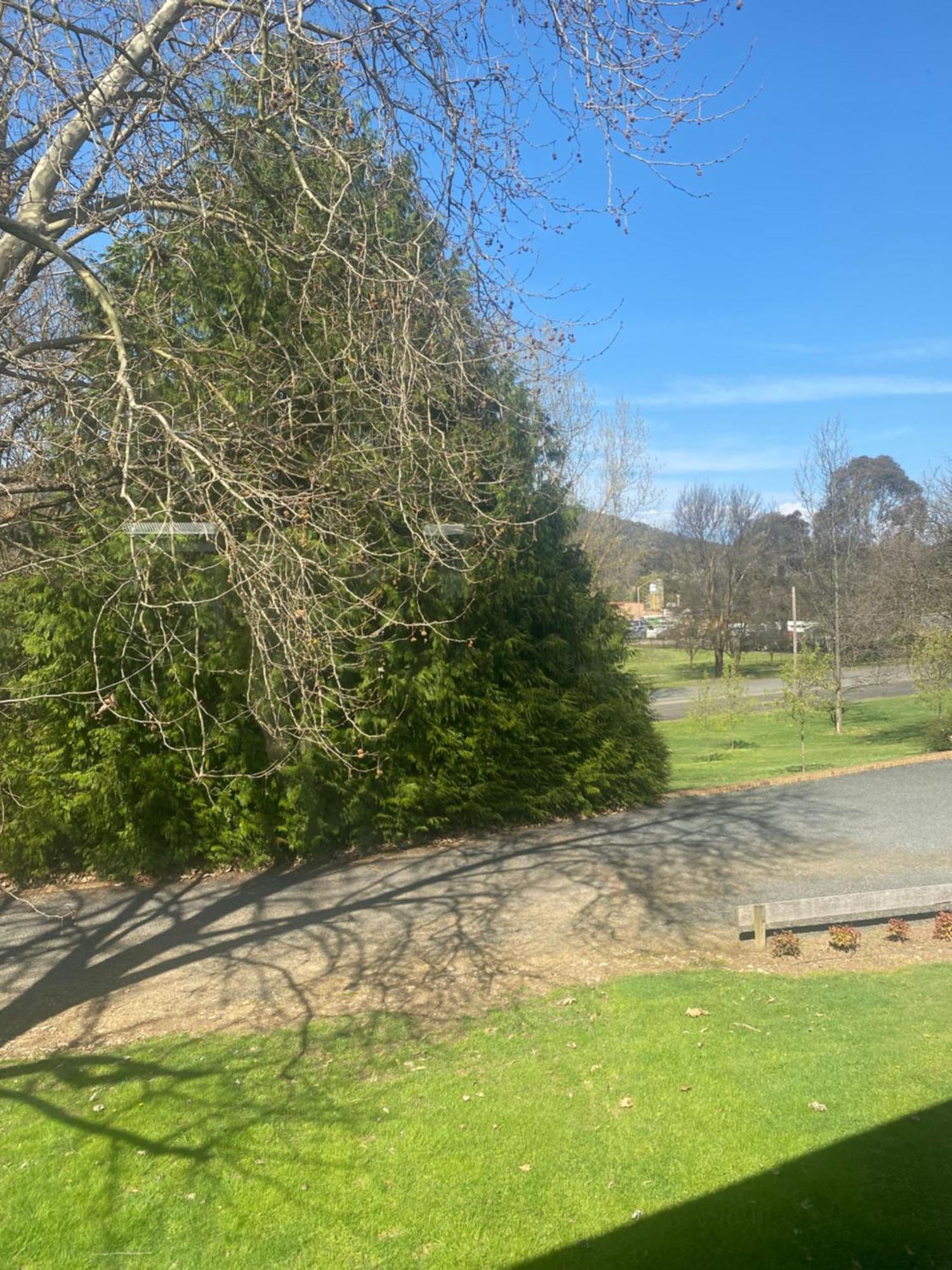Tumbarumba Motel & Elms Restaurant Εξωτερικό φωτογραφία