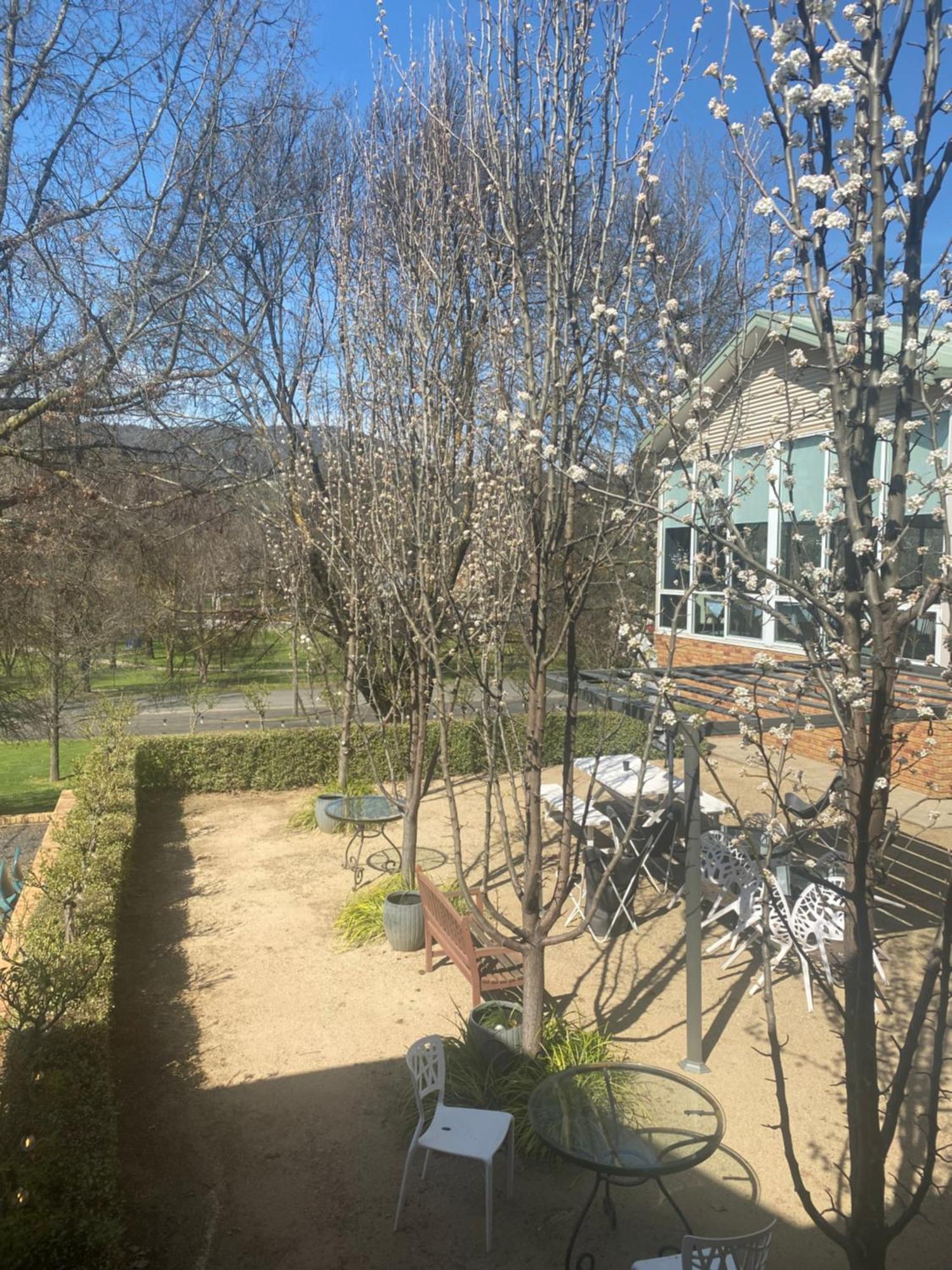 Tumbarumba Motel & Elms Restaurant Εξωτερικό φωτογραφία